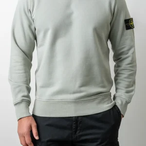 Organic Cotton Fleece Crewneck 6100060 SAGE